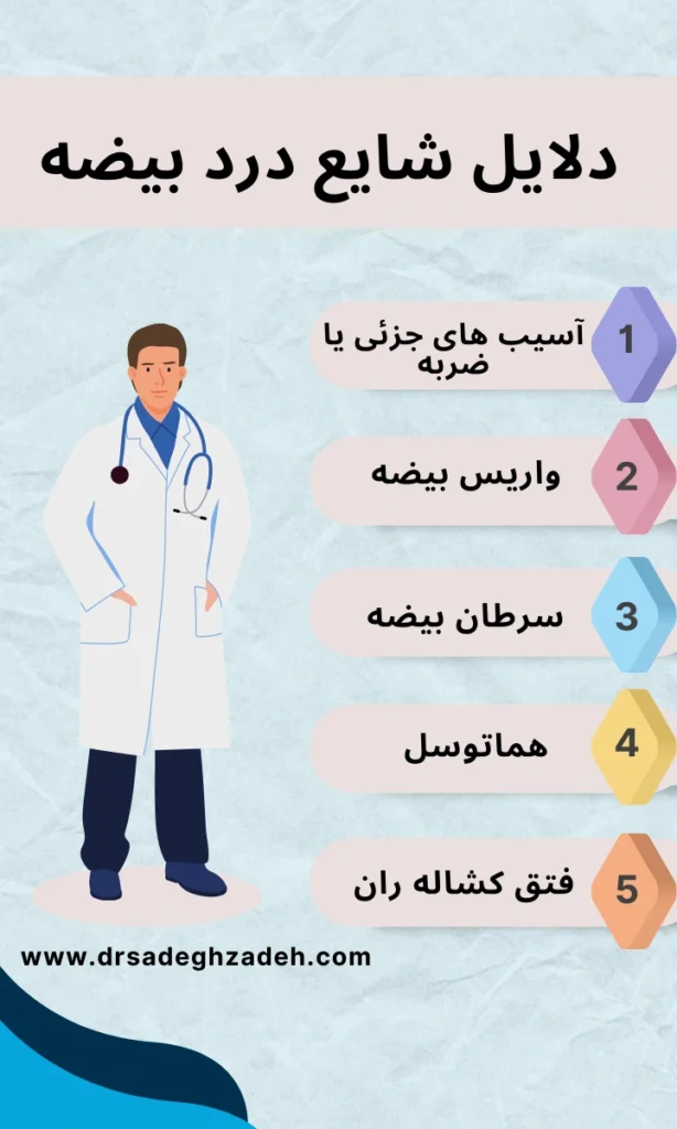 تصویر اینفو دلایل شایع درد بیضه 